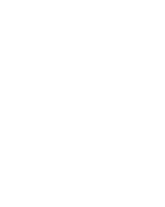 Adlerblick Logo weiss